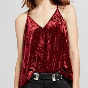 NWOT velvet v neck top
